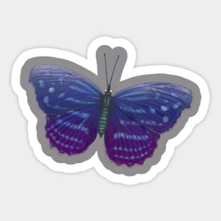 butterfly Sticker